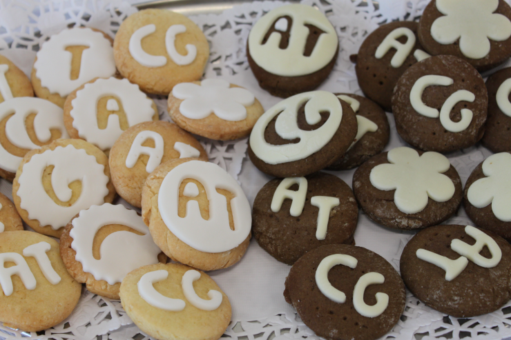 Cookies iced with A-T and C-G, with a handful of single-letters