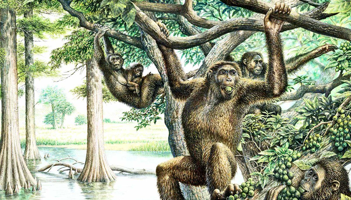 oh my god twitter doesn’t include alt text from images in their API